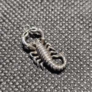 Silver Scorpion Charm